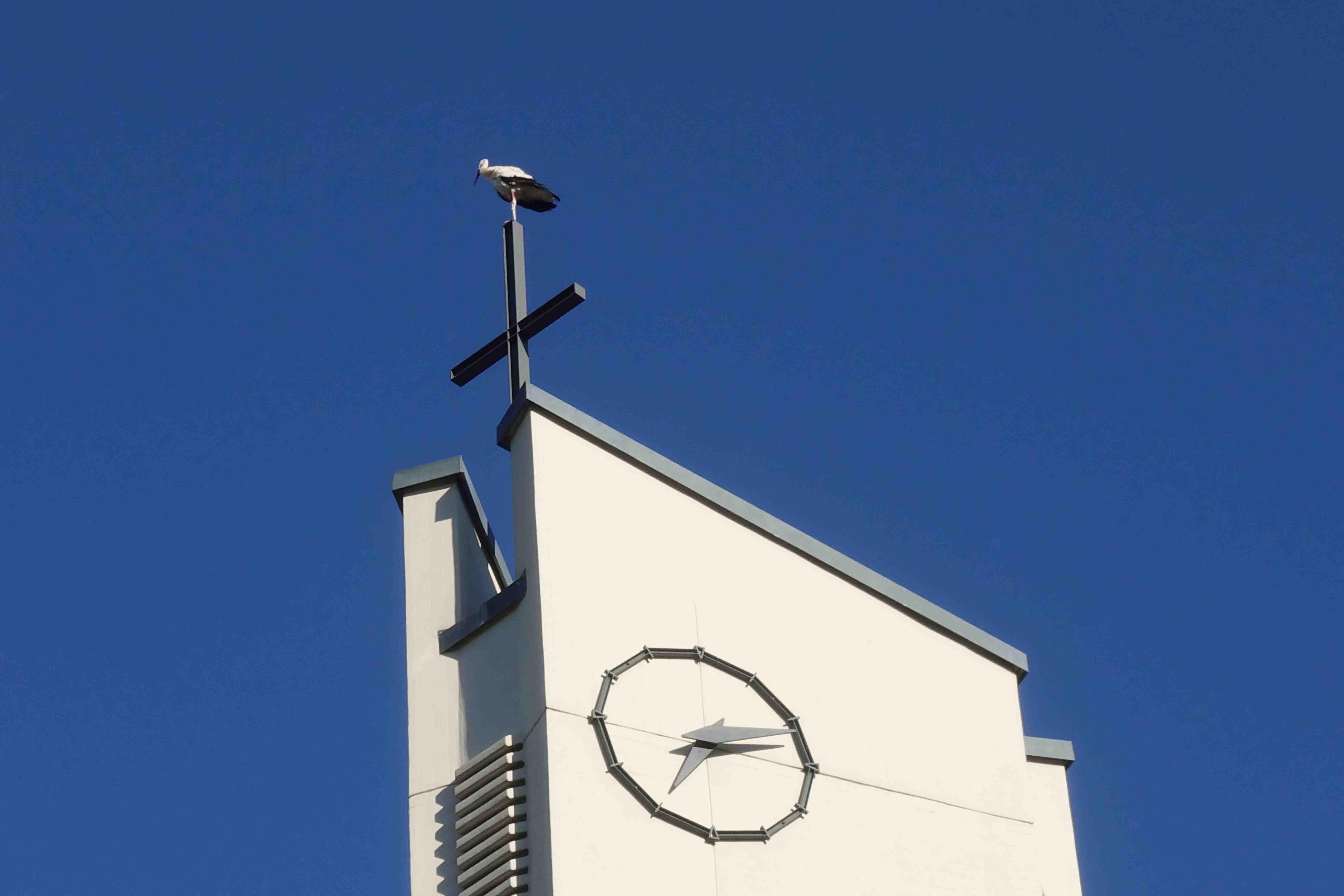 Schielberg10